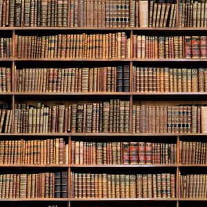 bookshelf-book-fabric-curtain-upholstery-cotton-material-digital-print-fabric-book-shelf-effect-55-wide-594be96f1.jpg
