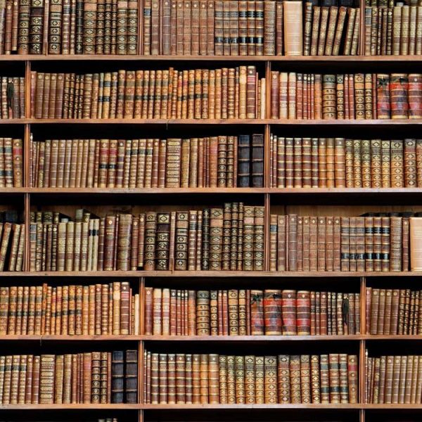 bookshelf-book-fabric-curtain-upholstery-cotton-material-digital-print-fabric-book-shelf-effect-55-wide-594be96f1.jpg