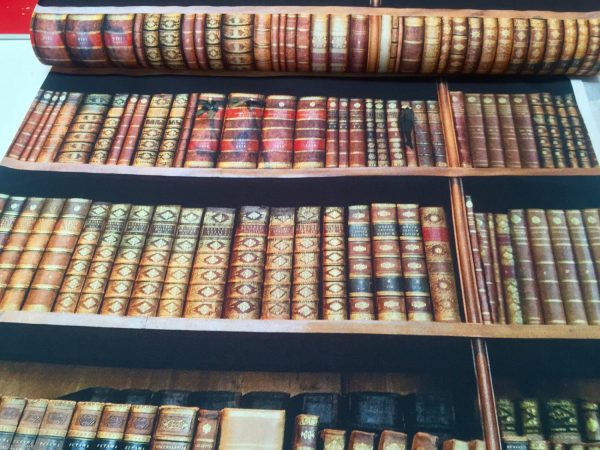 bookshelf-book-fabric-curtain-upholstery-cotton-material-digital-print-fabric-book-shelf-effect-55-wide-594be9702.jpg