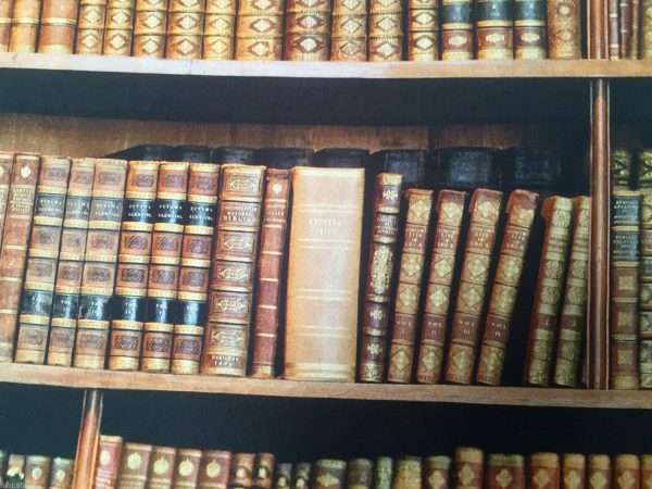 bookshelf-book-fabric-curtain-upholstery-cotton-material-digital-print-fabric-book-shelf-effect-55-wide-594be9734.jpg