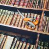 bookshelf-book-fabric-curtain-upholstery-cotton-material-digital-print-fabric-book-shelf-effect-55-wide-594be9765.jpg