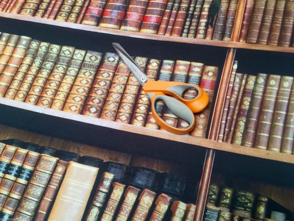 bookshelf-book-fabric-curtain-upholstery-cotton-material-digital-print-fabric-book-shelf-effect-55-wide-594be9765.jpg