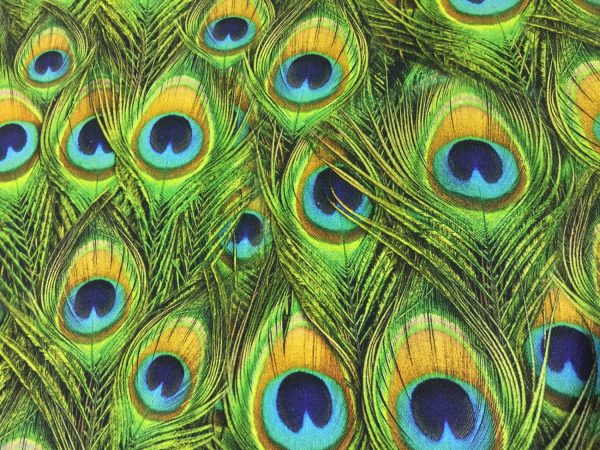 peacock-digital-print-upholstery-curtain-cotton-fabric-material-digital-print-textile-55140cm-wide-peacock-feathers-print-canvas-594be98a2.jpg