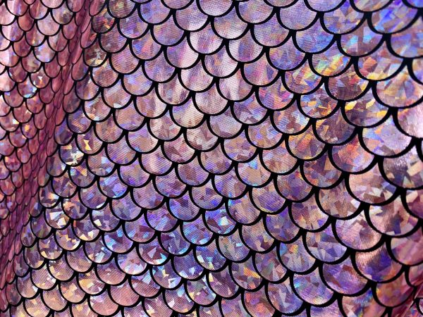 Mermaid Scale Fabric Fish Tale Foil Iridescent Stretch Spandex Material - 150cm wide - Baby Pink on Black - Image 2