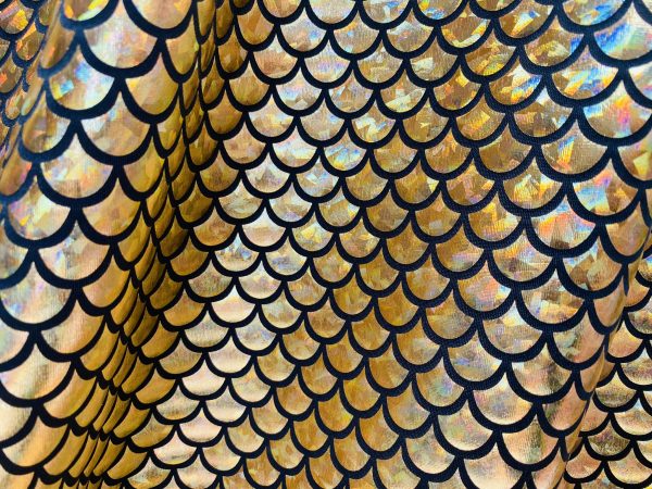 Mermaid Scale Fabric Fish Tale Foil Iridescent Stretch Spandex Material - 150cm wide - Gold on Black