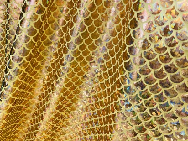 Mermaid Scale Fabric Fish Tale Foil Iridescent Stretch Spandex Material - 150cm wide red, silver, green, blue, gold, black, pink, rainbow - Image 12