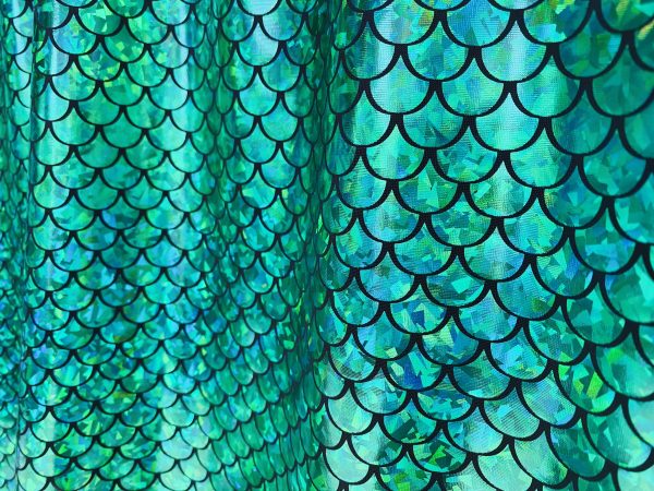 Mermaid Scale Fabric Fish Tale Foil Iridescent Stretch Spandex Material - 150cm wide - Green on Black - Image 3
