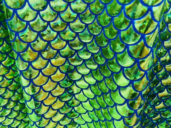 Mermaid Scale Fabric Fish Tale Foil Iridescent Stretch Spandex Material - 150cm wide red, silver, green, blue, gold, black, pink, rainbow - Image 16