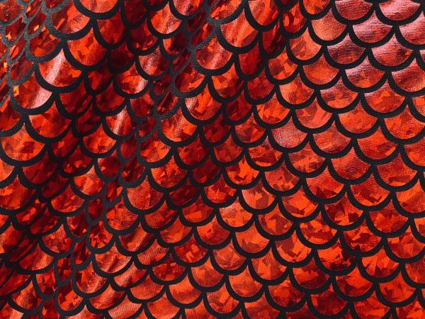 Mermaid Scale Fabric Fish Tale Foil Iridescent Stretch Spandex Material - 150cm wide red, silver, green, blue, gold, black, pink, rainbow - Image 23