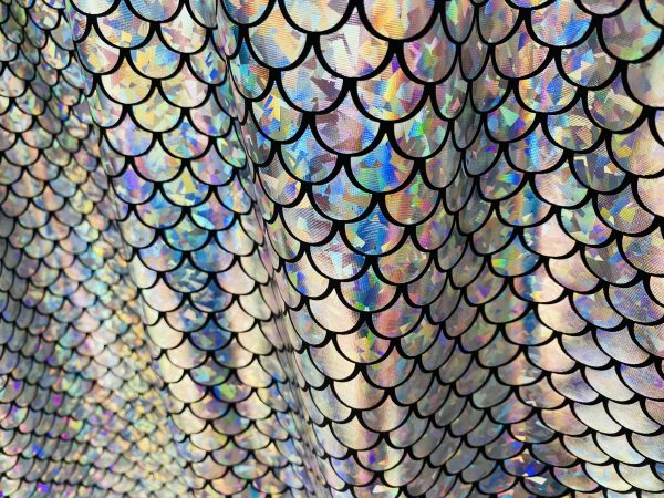 Mermaid Scale Fabric Fish Tale Foil Iridescent Stretch Spandex Material - 150cm wide - Silver on Black