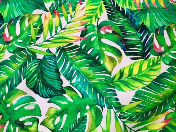 Palm Leaves 3 Tropical Leaf Print Cotton Fabric for Curtain Upholstery Material / digital print fabric / 140cm wide