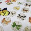 Vintage Butterfly Music Note Fabric Cotton Material for Curtains Upholstery Dress - Floral Digital Print Textile - 140cm wide canvas