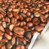 COFFEE BEANS Bean Cafe Cotton Fabric - Curtain Upholstery Craft material - 110''/ 280 cm Extra wide - BROWN