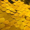 18mm Large Sequin Fabric Glitter Material, 2 way stretch - Backdrop, Dress Making, Home Decoration - 130cm wide - Sparkling GOLD Paillettes
