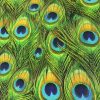 Peacock Feathers Digital Print Fabric Home Decor Upholstery Curtains Dressmaking Cotton Material - 280cm EXTRA wide