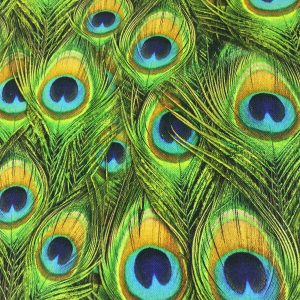 Peacock Feathers Digital Print Fabric Home Decor Upholstery Curtains Dressmaking Cotton Material - 280cm EXTRA wide