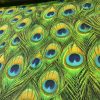 Peacock Feathers Digital Print Fabric Home Decor Upholstery Curtains Dressmaking Cotton Material - 280cm EXTRA wide - Image 8