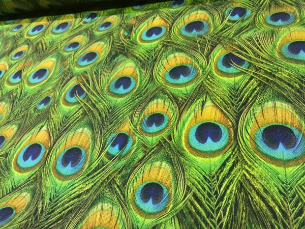 Peacock Feathers Digital Print Fabric Home Decor Upholstery Curtains Dressmaking Cotton Material - 280cm EXTRA wide - Image 8